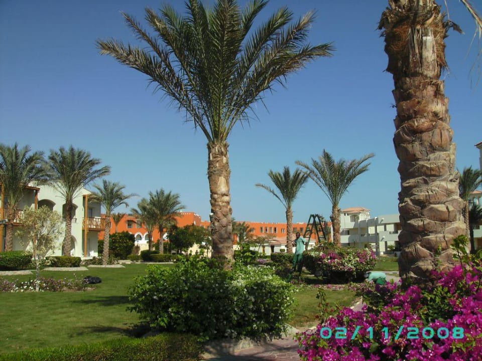 Gartenanlage Pickalbatros Dana Beach Resort - Hurghada