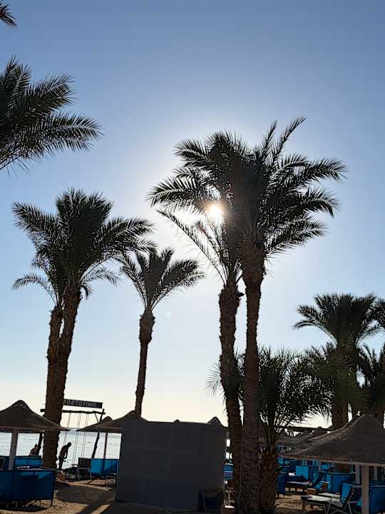 Ausblick Pickalbatros Vita Resort - Portofino Marsa Alam