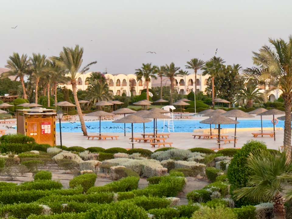 Pool Hotel Gorgonia Beach Resort