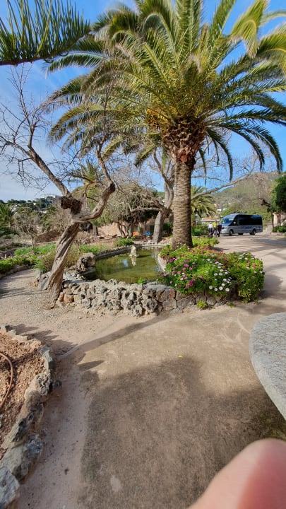 Gartenanlage Hotel Es Port