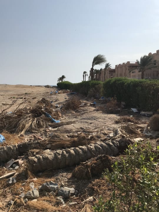 Außenansicht Shams Prestige Abu Soma-Adults Only