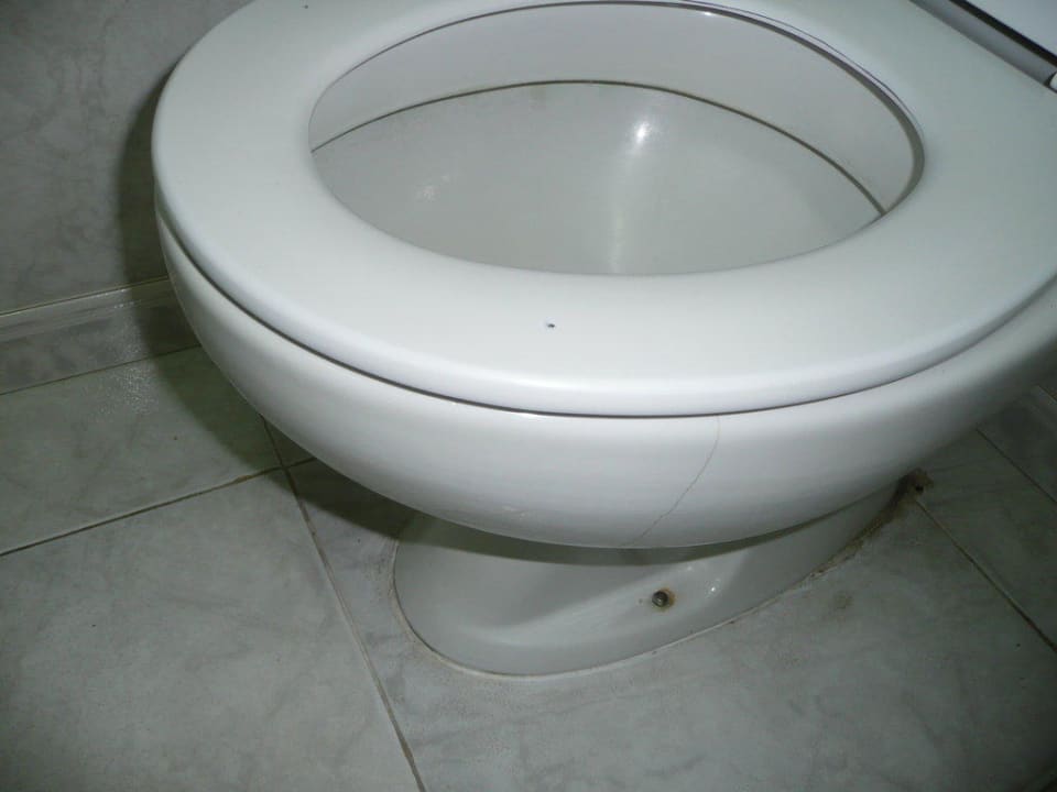 Toilette mit Sprung Bull Eugenia Victoria & Spa