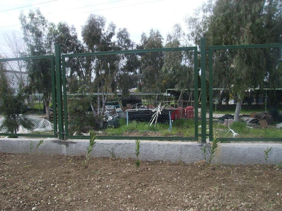 Hotelgarten von außen aufgenommen Sunrise Resort Hotel