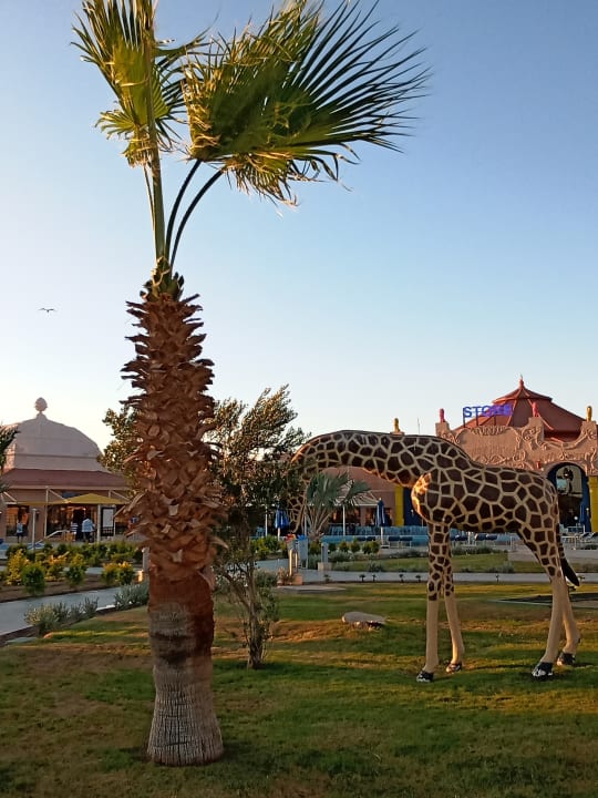 Gartenanlage Pickalbatros Jungle Aqua Park Resort - Neverland Hurghada