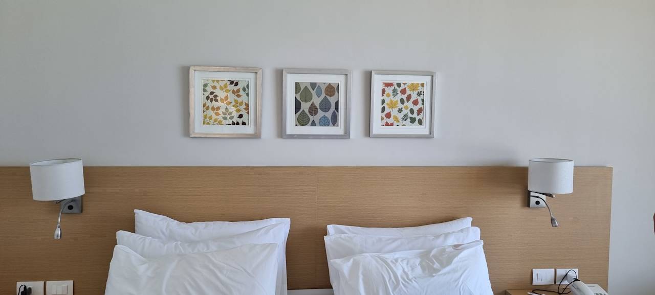 Zimmer JAZ Elite Asteria