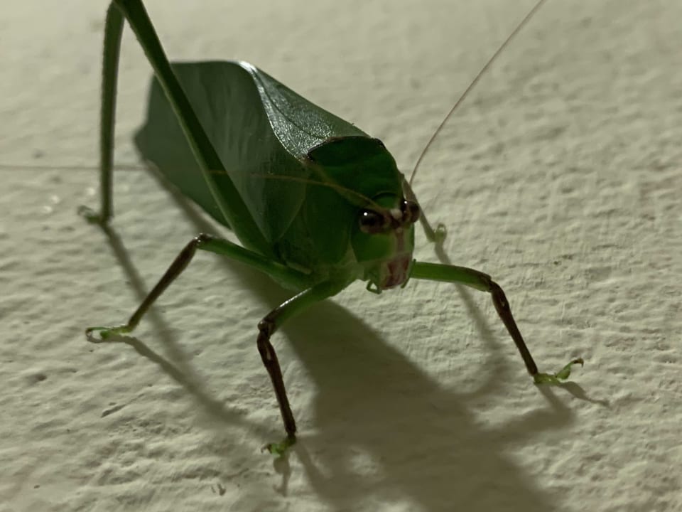 Sonstiges Akumal Bay Beach & Wellness Resort