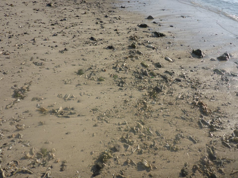 Strand Pearle Beach Resort & Spa