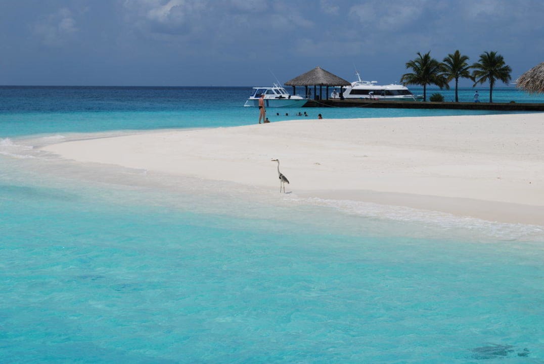 Ankunftssteg Velassaru Maldives