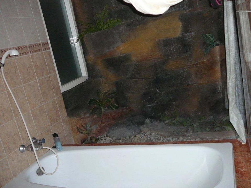 Bad Guest House Duta