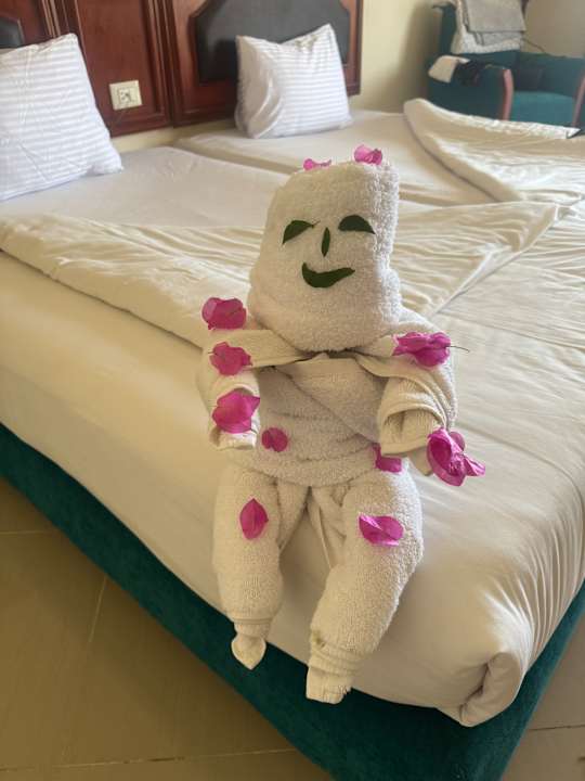 Zimmer Coral Hills Resorts & SPA