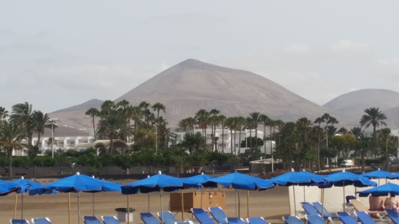 Strand Relaxia Olivina