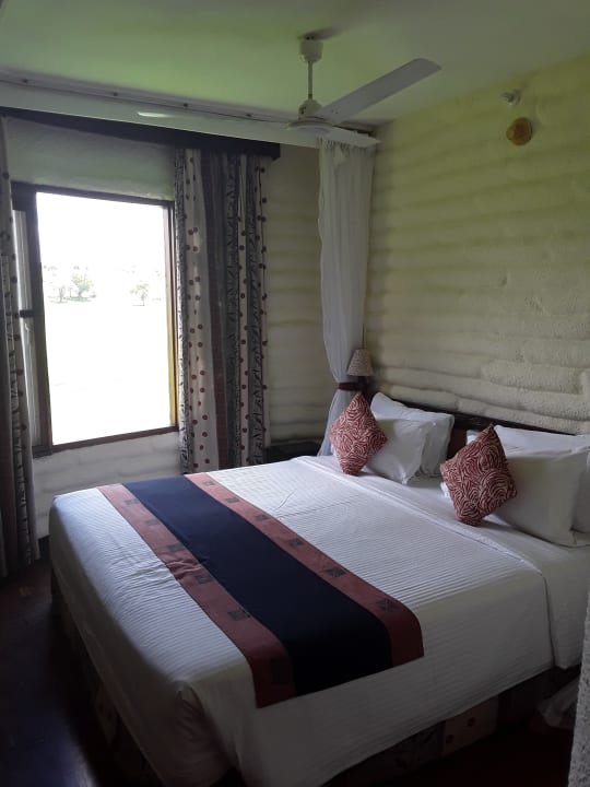 Zimmer Salt Lick Safari Lodge
