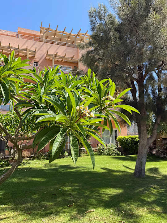 Gartenanlage High Beach Resort