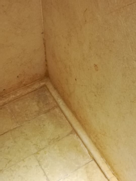 Zimmer Grand Waterworld Makadi & Family Star Makadi