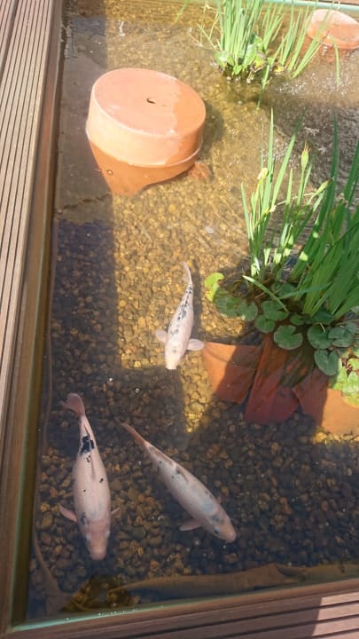 Gartenanlage Holiday Inn Berlin Airport - Conference Centre