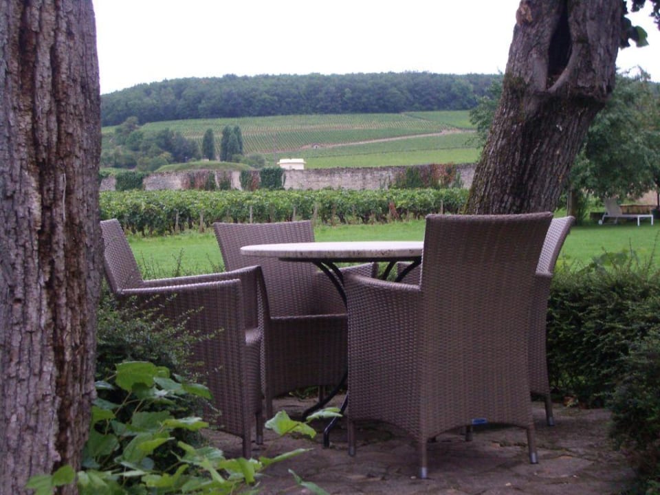 Face aux vignes Hotel Villa Louise