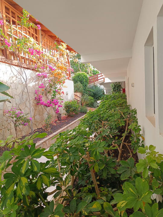 Gartenanlage Marina Playa Suite Hotel