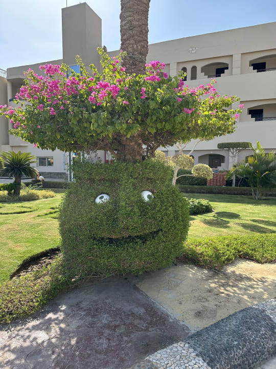 Gartenanlage Seagull Beach Resort
