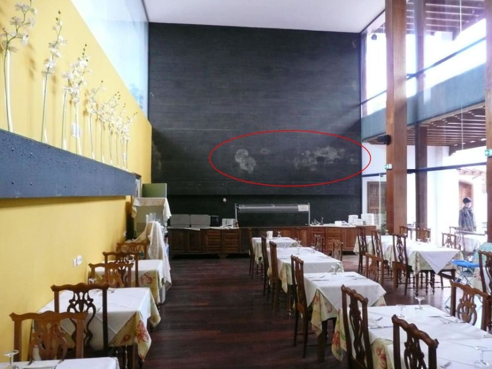 Grzyb na scianie w restauracji hotelwoej Hotel Mansion Nazaret