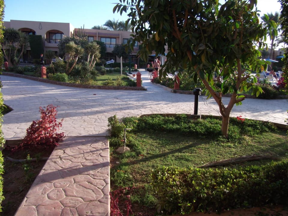 Es grünt und blüht Ali Baba Palace Hotel
