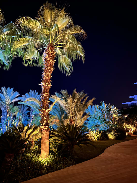 Pool Maxx Royal Belek Golf Resort