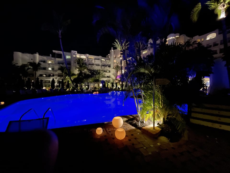 Pool Dreams Jardín Tropical