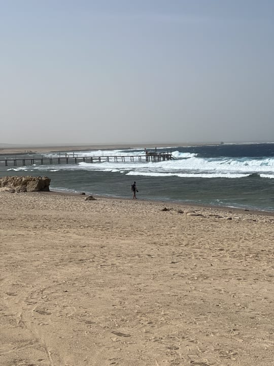Strand Steigenberger Resort Alaya Marsa Alam - Red Sea - Adults only