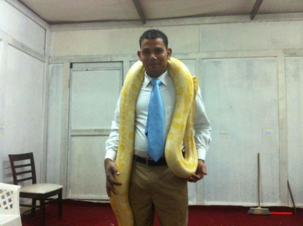 Unser Mann!  Pickalbatros Dana Beach Resort - Hurghada