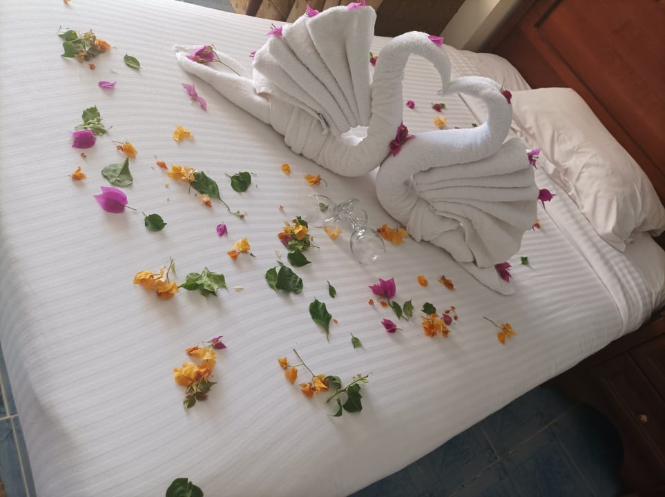 Zimmer Jasmine Palace Resort & Spa
