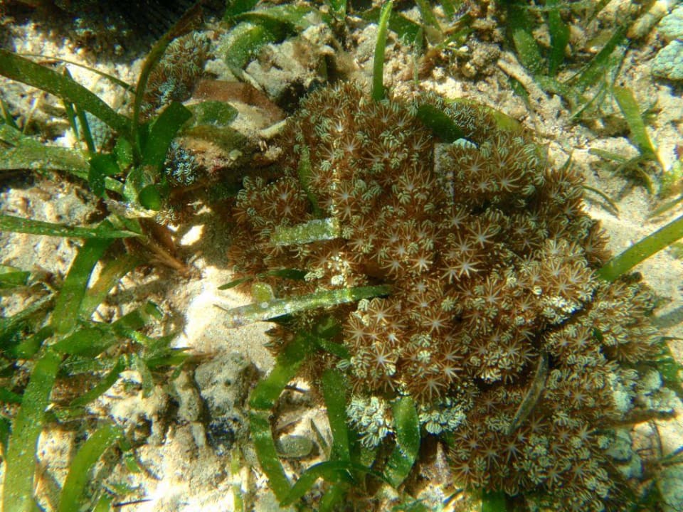 Wasser Hotel Siladen Resort & Spa