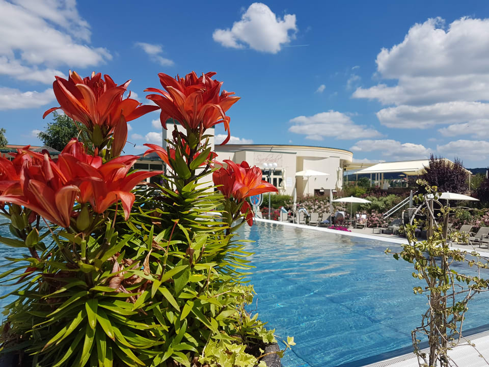 Pool Avita Resort Bad Tatzmannsdorf