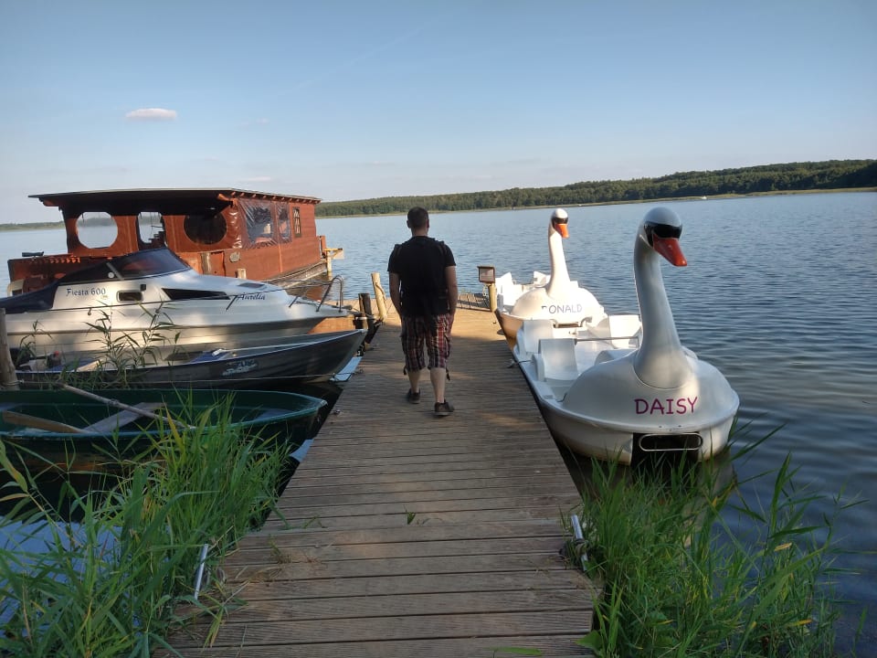 Ausblick Familotel Borchard's Rookhus am See