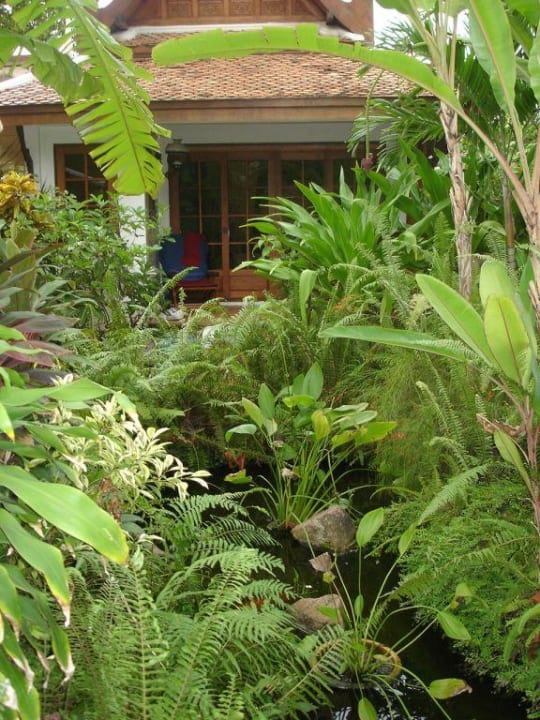 Teichansicht Anavana Beach Resort