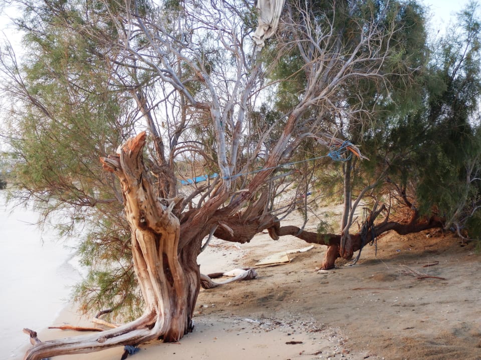 Strand Shams Alam Beach Resort