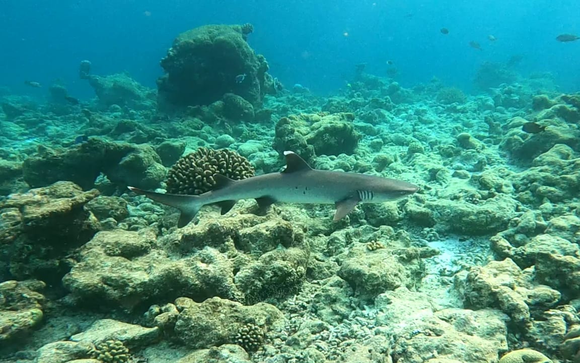 Sport & Freizeit Thulhagiri Island Resort