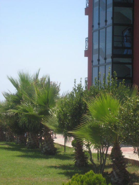 Вид отеля с палянки для отдыха Hotel Club Life Kizilot