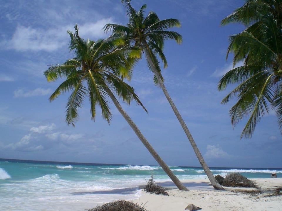 Strand bei Bungi 100 Filitheyo Island Resort