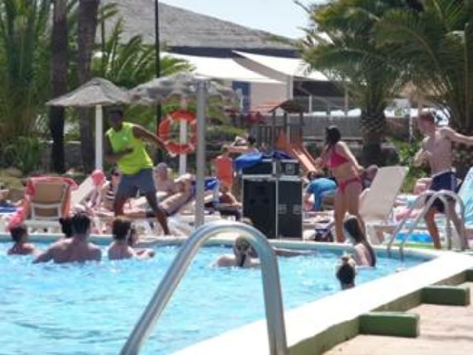 Animation FERGUS Style Bahamas