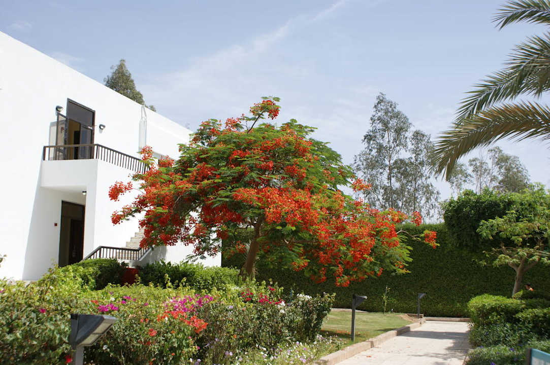 Die schöne Gartenanlage Ghazala Beach