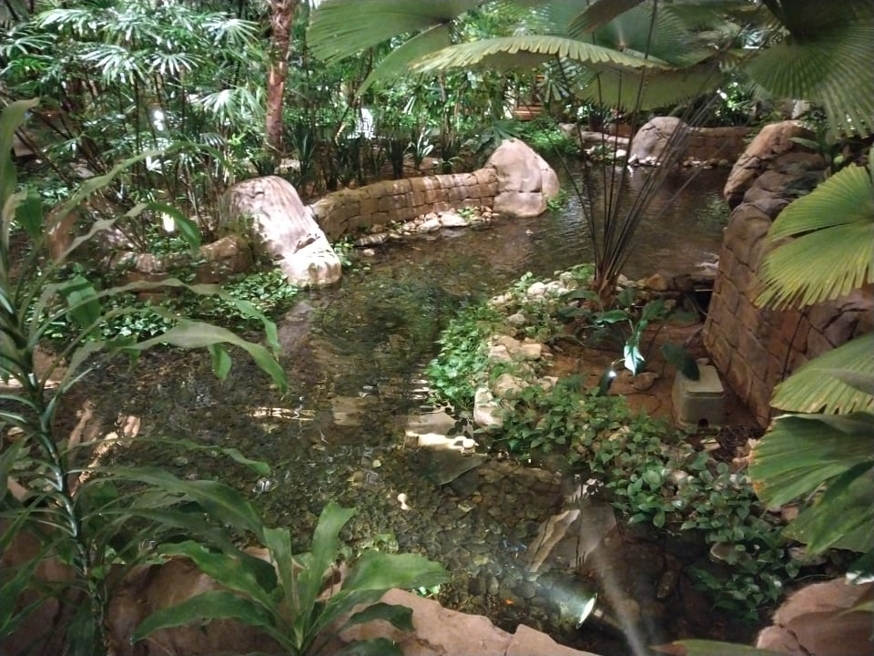 Lobby Grand Hyatt Dubai