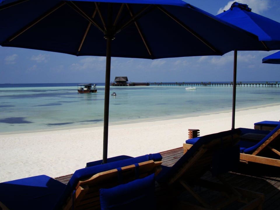 Dhoni Bar Sun Siyam Olhuveli