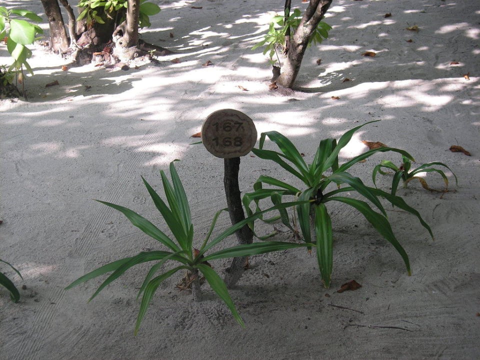 Die "Hausnummer" unseres Bungis NH Collection Maldives Reethi Resort