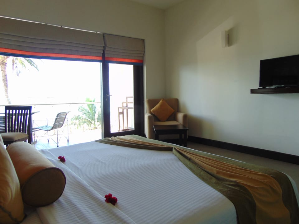 Zimmer Shinagawa Beach