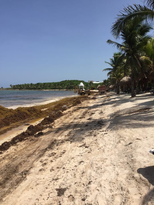 Strand Grand Palladium Kantenah Resort & Spa