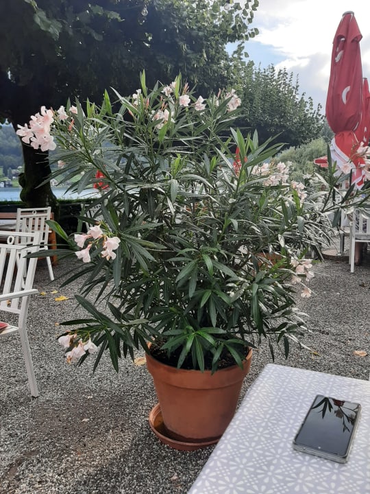 Außenansicht Strandhotel Pichler