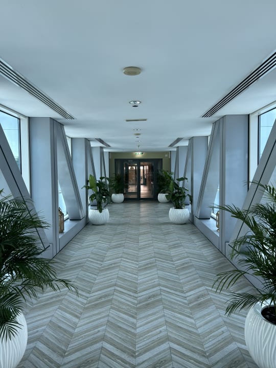 Pool Rose Rayhaan by Rotana