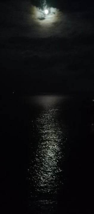 Ausblick Globales  Cala Viñas - Adults only