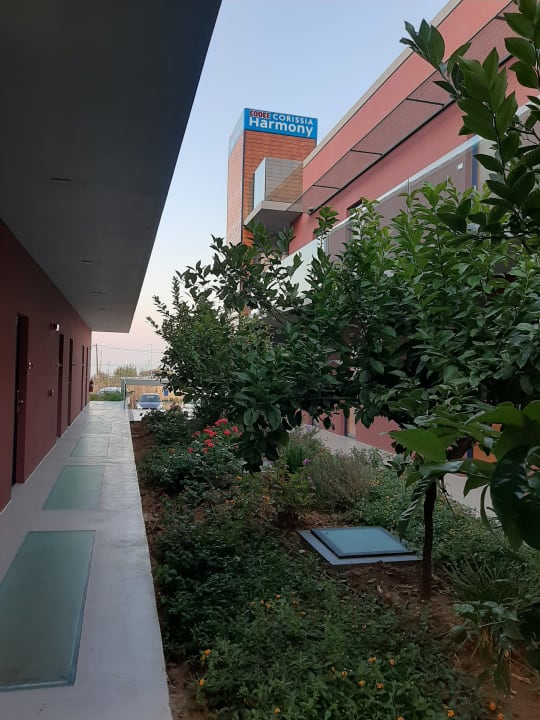 Gartenanlage Harmony Boutique Resort