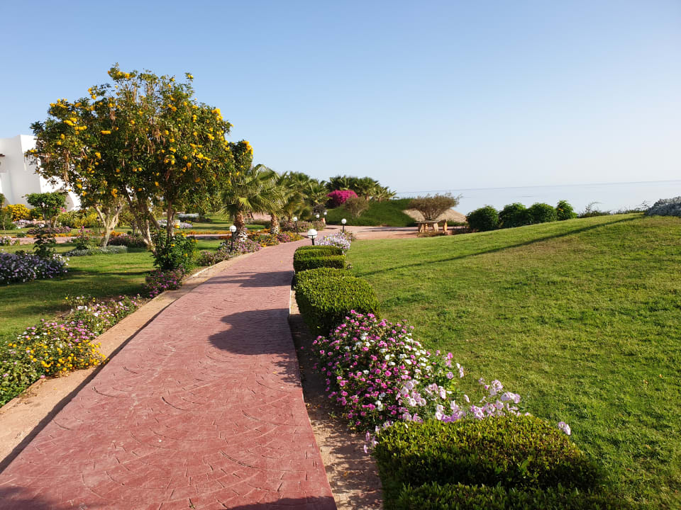 Gartenanlage Three Corners Equinox Beach Resort