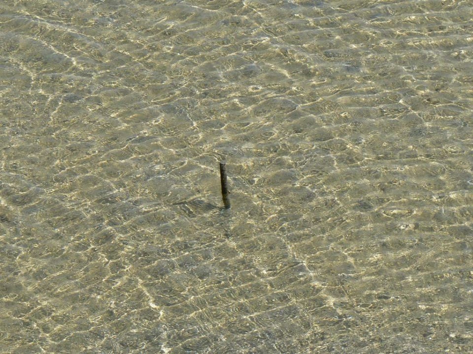 Eisenstangen ( eine von vielen ) im flachen Wasser Pharaoh Azur Resort